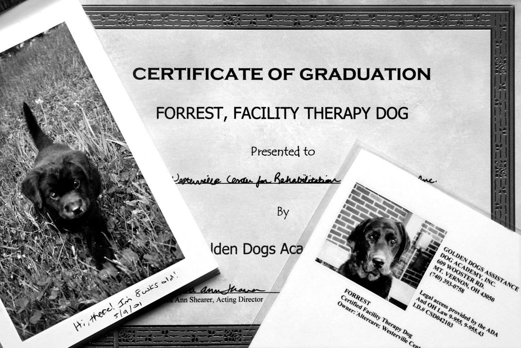 Award of Excellence, Feature Picture Story - Fred Squillante / The Columbus DispatchTherapy dog Forrest has graduated from the Kids and Canines program and has been presented to Altercare of Westerville nursing center.  At left is a photo of Forrest when he was 8 weeks old. 