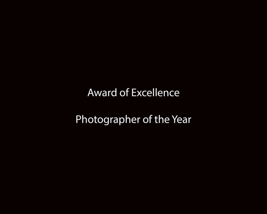 Award of Excellence, Photographer of the Year - Michael E. Keating / Cincinnati Enquirer