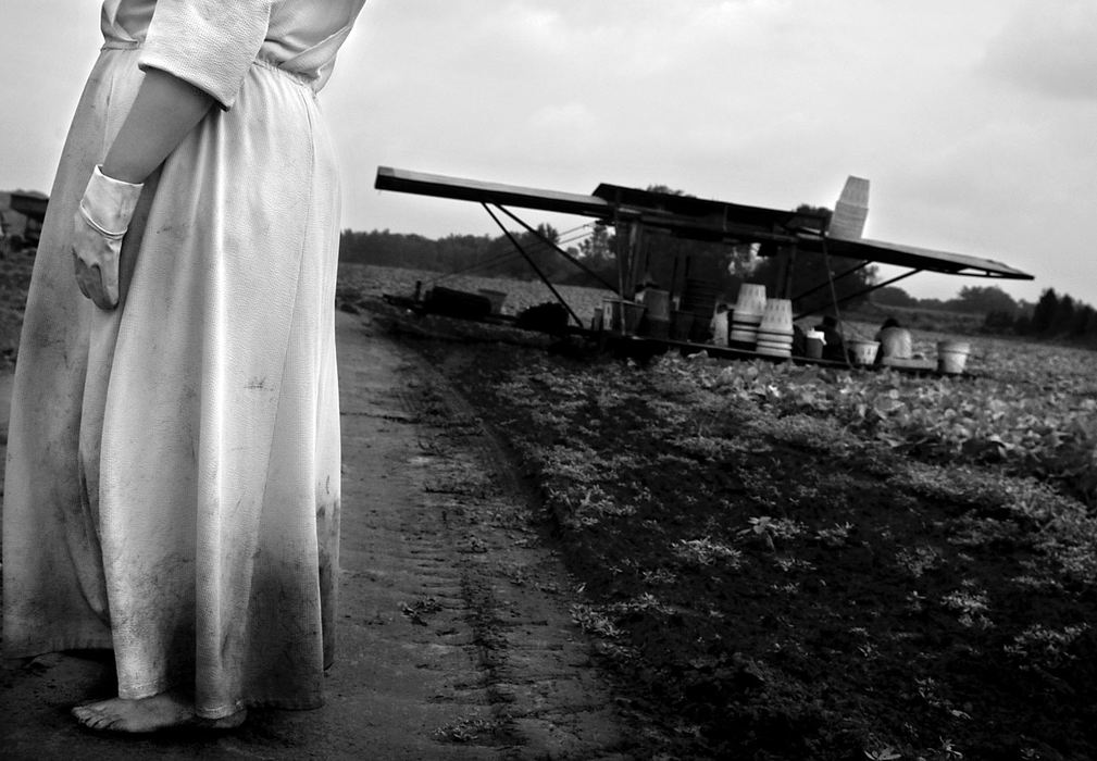 Second Place, Photographer of the Year - Greg Ruffing / FreelanceThe dirt of countless days in the fields soaks the clothes and toes of Margaret Reimer, a Mennonite farmer. Summer upon summer she has planted and picked, from Belize to Canada, where she now toils the vegetable and tobacco fields along Ontario's Lake Erie coast. Reimer and five others fill bucket after bucket with fresh cucumbers using the slow-moving machine in the background. 