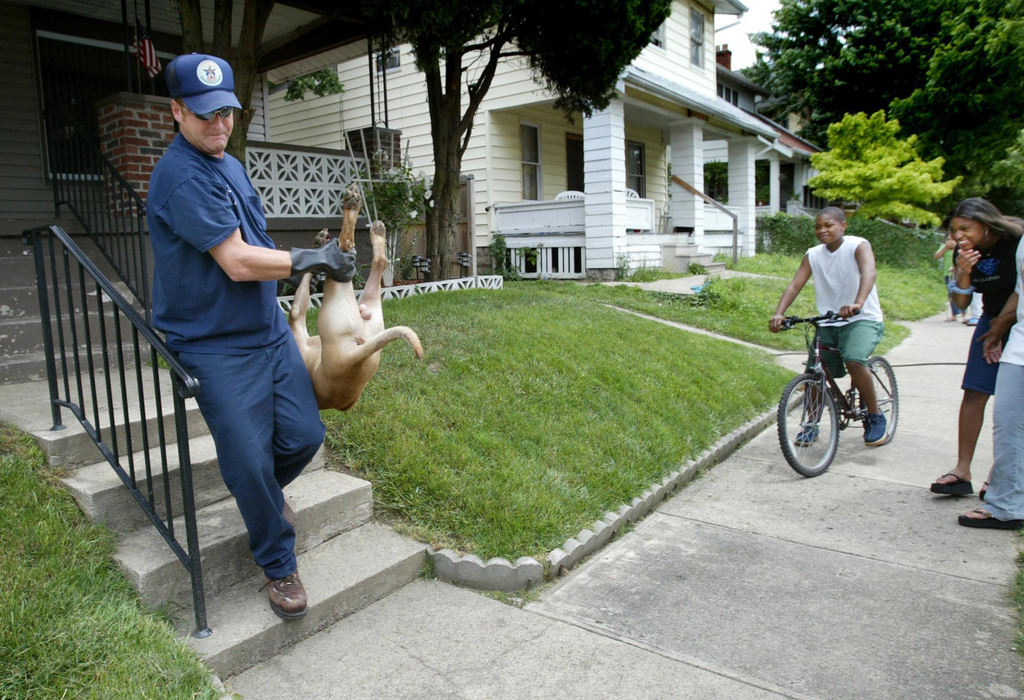 Third Place, Photographer of the Year - Fred Squillante / The Columbus DispatchAs neighborhood kids watch, City of Columbus Refuse Collector Tom Hartman removes a dead pit bull from the porch of a South Side man who shot and killed the pit bull which attacked his grandson. 