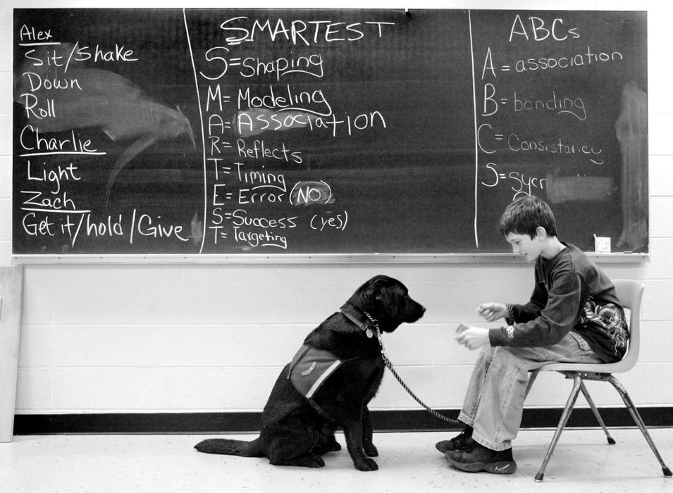 Third Place, Photographer of the Year - Fred Squillante / The Columbus DispatchEleven students at Walnut Springs Middle School with social or emotional difficulties train service dogs for people who use wheelchairs. The program is called Kids and Canines. Training dogs is therapy for these students. In the dog-training room at Walnut Springs Middle School, student trainer Zach Farris practices a demonstration with Frasier that involves retrieving a dumbbell.