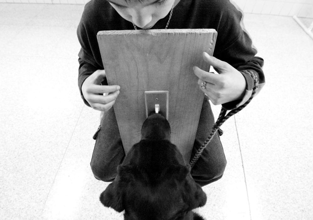 Third Place, Photographer of the Year - Fred Squillante / The Columbus DispatchStudent trainer Eddie Hicks teaches Fonzie  to flip a light switch during training at Walnut Springs Middle School. 