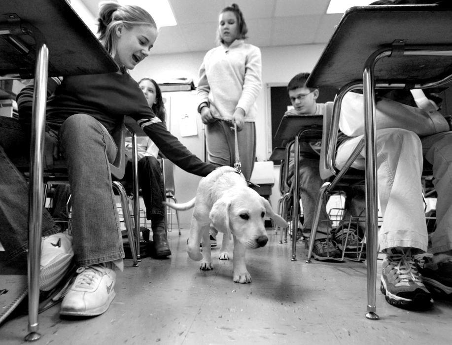 Third Place, Photographer of the Year - Fred Squillante / The Columbus DispatchAndrea Arntz walks Gus through a classroom at Walnut Springs Middle School. 6th-grader Lexi Cavin, left, gives Gus a pat on the back. 