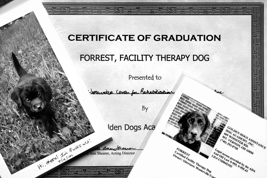 Third Place, Photographer of the Year - Fred Squillante / The Columbus DispatchTherapy dog Forrest has graduated from the Kids and Canines program and has been presented to Altercare of Westerville nursing center.  At left is a photo of Forrest when he was 8 weeks old. 