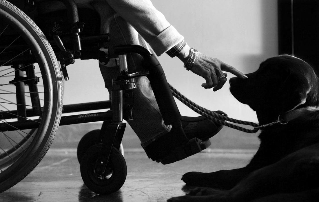 Third Place, Photographer of the Year - Fred Squillante / The Columbus DispatchDog recipient Elsie Danevich spends time talking to her new dog Fonda during camp in Westerville. Fonda, a graduate of the Kids and Canines program, was presented to Danevich.  After a morning of training with Fonda, Danevich was  given some time just to talk to the dog. 