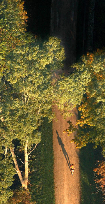 Award of Excellence, Sports Action - Bob DeMay / Akron Beacon JournalA runner casts a long shadow while on the Erie and Ohio Canal Towpath Trail in the Inaugural Akron Marathon.