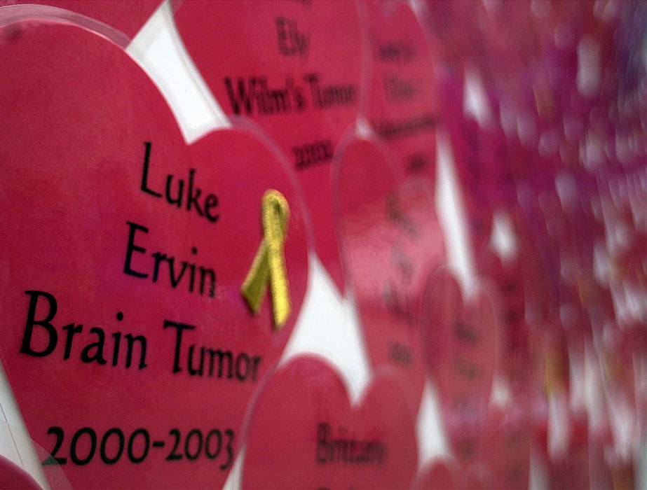 Award of Excellence, Team Picture Story - Mitchell Masilun  / The News JournalA heart symbolizing Luke Ervin hangs along with other children who have been diagnosed with Cancer in a memorial during the Kids n' Kamp rally on the lawn of the statehouse Friday afternoon.  The gold ribbon on his heart signifies his losing the battle with cancer.