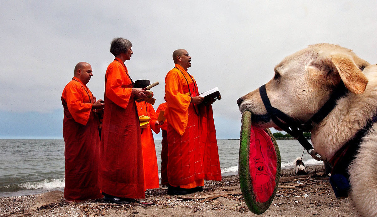 Third Place, Assigned Feature - Mike Levy / The Plain DealerBuddhists from Cloud/Water Zendo perform a traditional Buddhist ritual at Edgewater State Park, honoring the contributions that animals have made to human existence.  Witnessing the ritual is Parker, 8-years-old who came with his owner, Dori Villalon who is the executive director of the APL. About thirty people and 20 dogs participated in the event. 