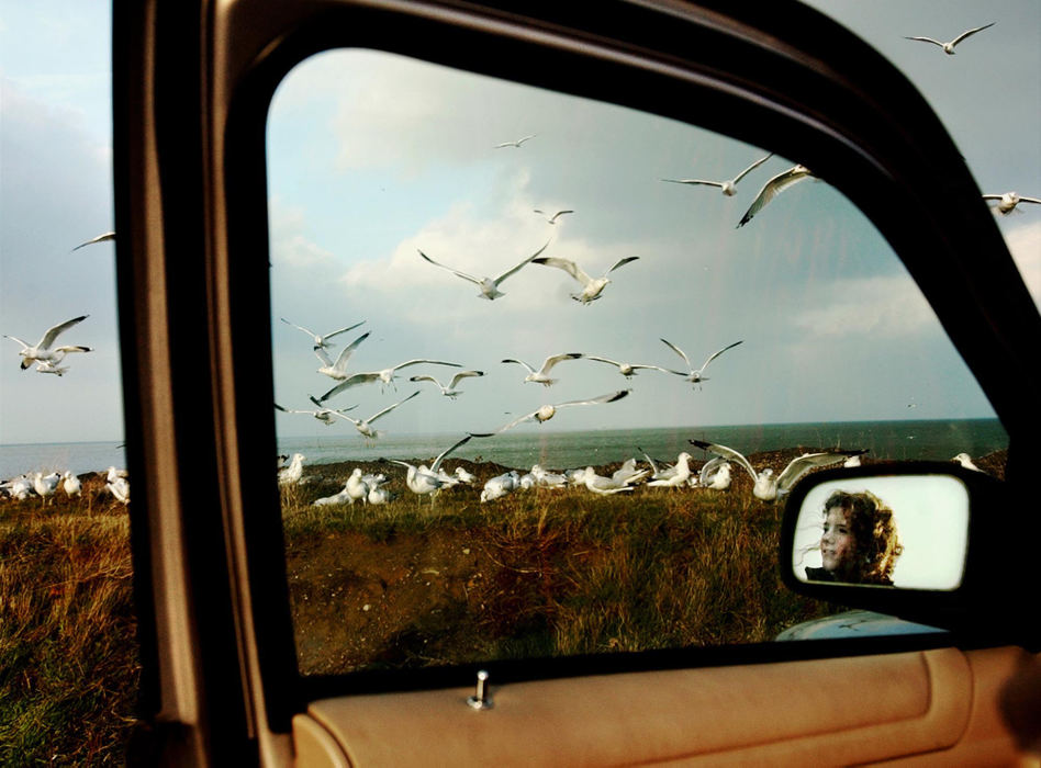 Third Place, Pictorial - Greg Ruffing / Lorain Morning JournalAvril Willoughby, 11, of Lorain is reflected in the mirror of her grandparents' car as she watches birds feast on the bread that she and other family members left along the shore of Lake Erie in Lorain.