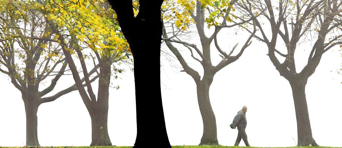 First Place, Photographer of the Year - John Kuntz / The Plain DealerA pedestrian walks through the morning fog at Edgewater Park November 18, 2004 in unseasonably warm weather where it is expected to rise in the lower 60's creating the fog in Northeast Ohio.  