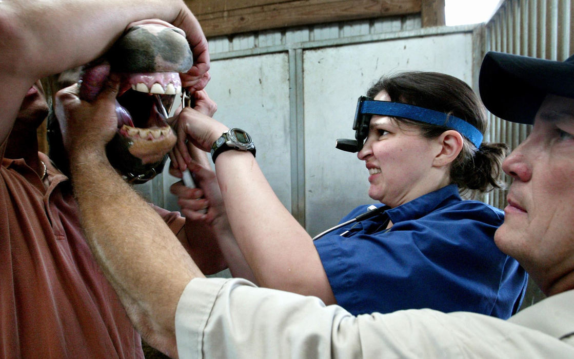 Award of Excellence, Photographer of the Year - Fred Squillante / The Columbus DispatchAllison Lash, left, a senior at Ohio State University's College of Veterinary Medicine, is aided by Dr. Bimbo Welker as she pulls a horse's tooth. A university clinic in Marysville gives veterinary students experience with large animals.