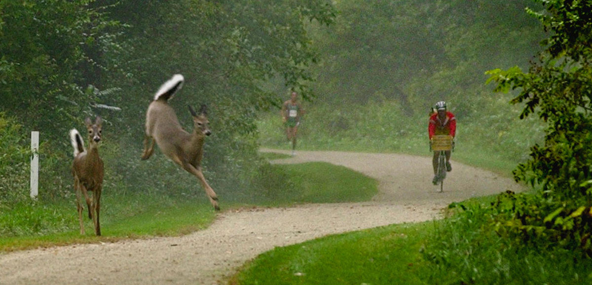 First Place, Sports Action - Lindsay Semple / Akron Beacon JournalThe lead runner and the pace bicyclist startle two deer while passing through the towpath area of the 2004 Road RunnerAkron Marathon, October 2, 2004.  