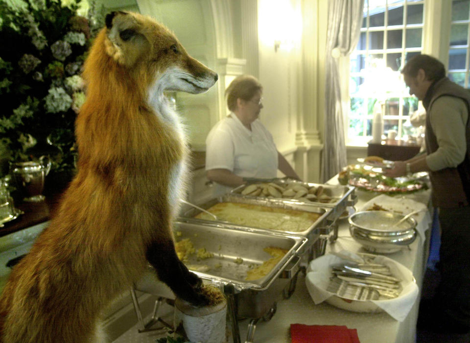 Second Place, Sports Picture Story - Andy Wrobel / Warren Tribune ChronicleIn the end, the only fox that was seen on the hunt was a stuffed one at the end of the buffet table.