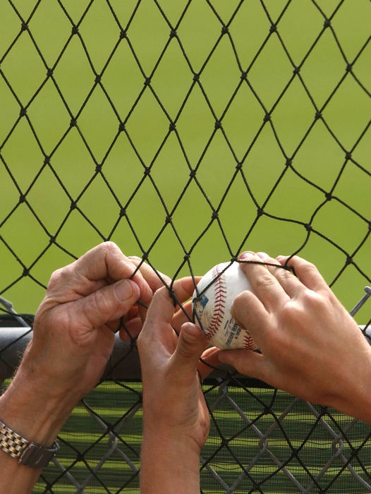 Third Place, Sports Picture Story - Chuck Crow / The Plain DealerAmerica's Pastime is still baseball and part of that pastime is chasing down home run balls or foul balls by the fans.  A home run ball does not clear the fence, stuck in the netting, as a grandfather helps his grandson wiggle the ball through the fencing for a prized souvenir. Practice Field Diamond #1 at Winter Haven's sports complex is a prime location for chasing down the home run balls, where young and old and compete for the souvenirs. 