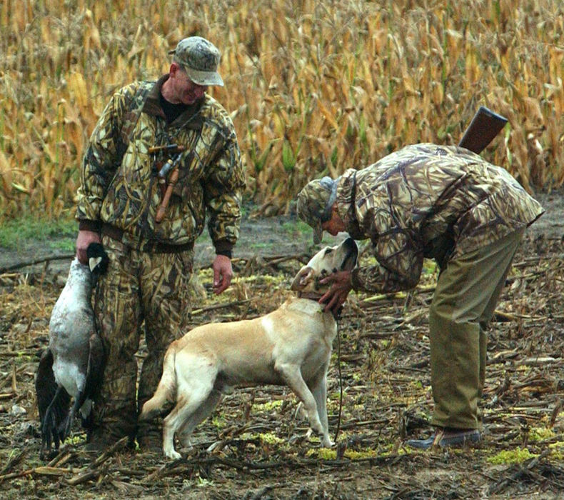 Third Place, Team Picture Story - Thomas Ondrey / The Plain Dealer John Kerry pauses to nuzzle Woody, a Labrador Retriever belonging to Bob Bellino after a successful early morning goose hunt at Molnar Farms in Springfield Township. 