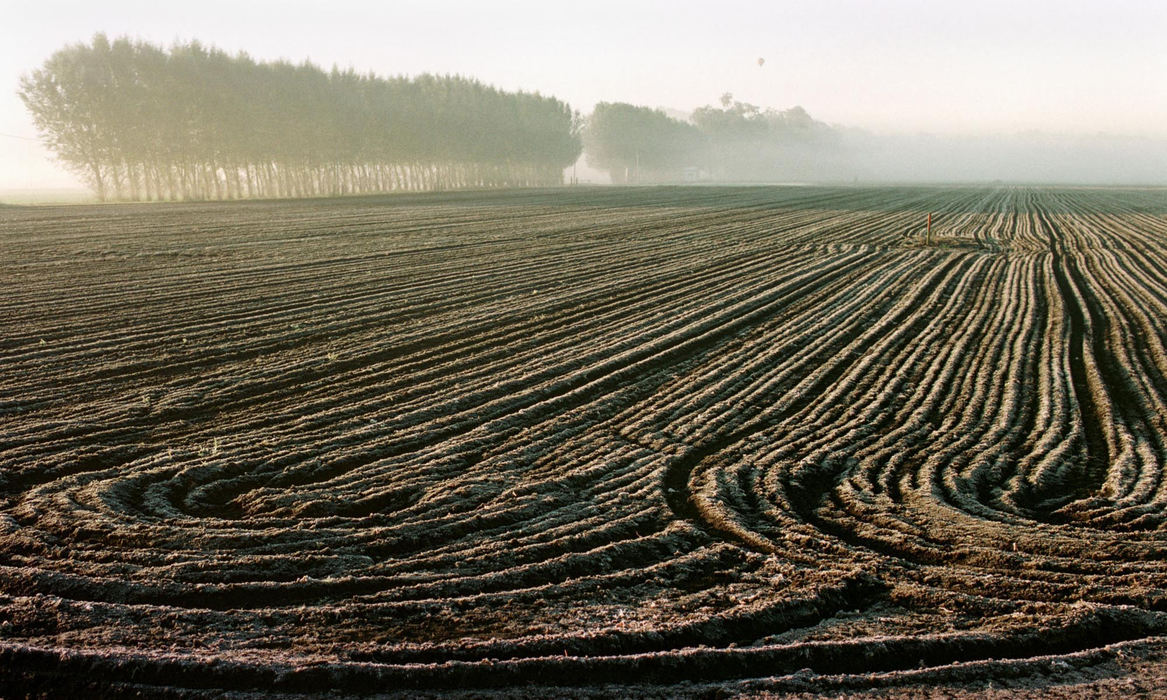 First place, James R. Gordon Ohio Understanding Award - Gary Harwood / Kent State UniversityA cold mid-October dawn will soon reveal the first frost of the season. The growers have advanced weather-detecting equipment and are already in the fields preparing to protect the more fragile vegetables from the damaging conditions. The Zellers commonly run water lines throughout the night to create a watery mist that helps to keep frost from forming on the crop. They make every effort to save their final crop of the season. 