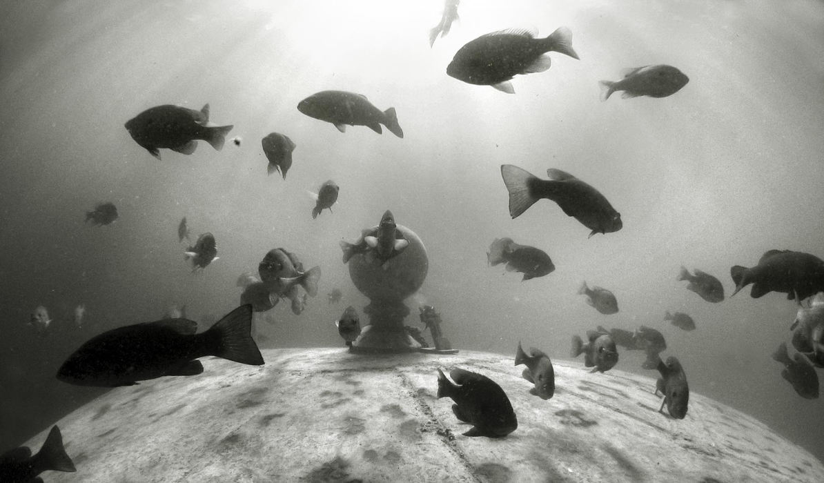 Award of Excellence, Pictorial - Andy Morrison / The BladeBluegill and bass bask in warm, shallow water near a submerged silo at Portage Quarry.