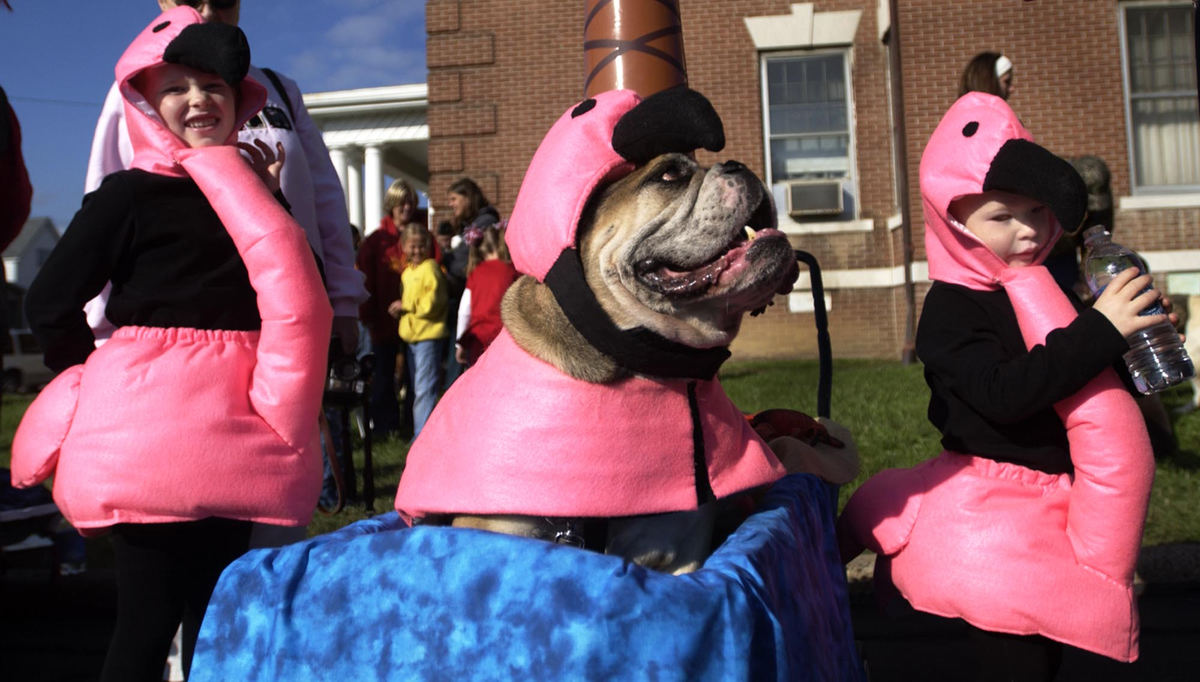 Award of Excellence, Student Photographer of the Year Award - Sung H. Jun  / Ohio UniversityAddison Paul (left) 6, and her sister, Mason, 2, wait to start the Pet Parade with their 10 years old dog, Earl Lee, at St. Boniface's parking lot. Around five hundreds children and three hundred animals participated in this parade that was one of the Fall Festival's events.  