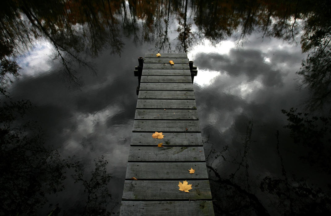 Award of Excellence, Photographer of the Year - Dale Omori / The Plain Dealer Autumn leaves adorn the wooden dock in the small pond behind the Taft home in the Pepper Ridge subdivision.  