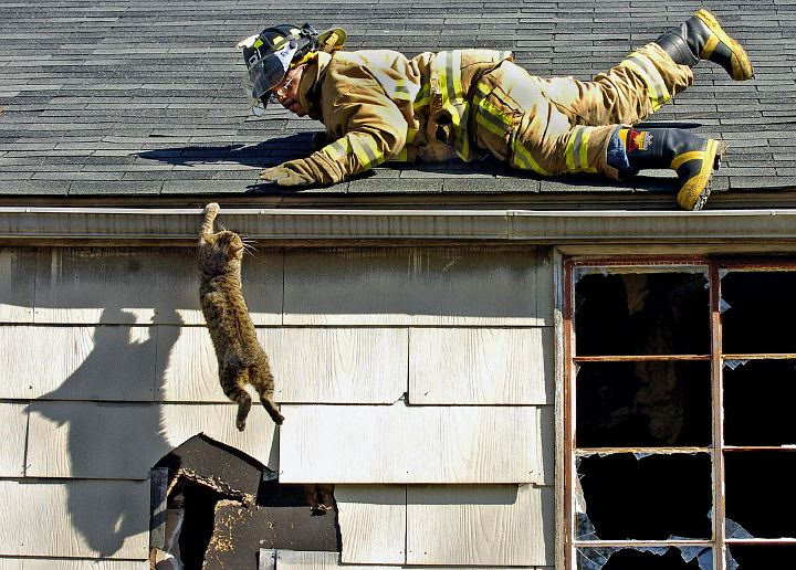 Second Place, Spot News over 100,000 - Glenn Hartong / Cincinnati EnquirerLincoln Heights firefighter Marvin Spears slowly reaches towards a cat as it hangs off of the gutter of a two story apartment building at the Valley Homes Apartment on North Leggett Court in Lincoln Heights. Residents called the fire department to rescue the cat that had been up on the roof for several days. Just as firefighter Speqars reach out to the the cat it dropped from the gutter landed on its feet and ran off into a nearby wooded area.