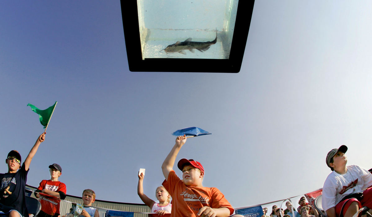 Second Place, Student Photographer of the Year - Michael P. King / Ohio UniversityRace judges Mitchell Rosenfeldt, 9, left, Josh Hietpas, 14, center, and Joel Leon, 12, right, all from Greenville, signal with flags at the finish line of the tanks during catfish races at the annual Great Catfish Extravaganza at Greenville Lions Park in Greenville, Wis., July 28, 2006.