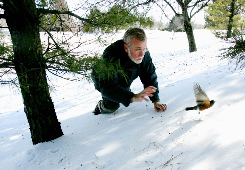 Award of Excellence, Assigned Feature - Eric Albrecht / The Columbus DispatchDr. Don Burton makes a successful effort to capture a sick robin along a Suburban Drive. Dr. Burton  was taking the bird back to the Ohio Wildlife Center to try to save him. The birds stayed in the area due to a warm fall then a quick winter freeze reduced their food supply.