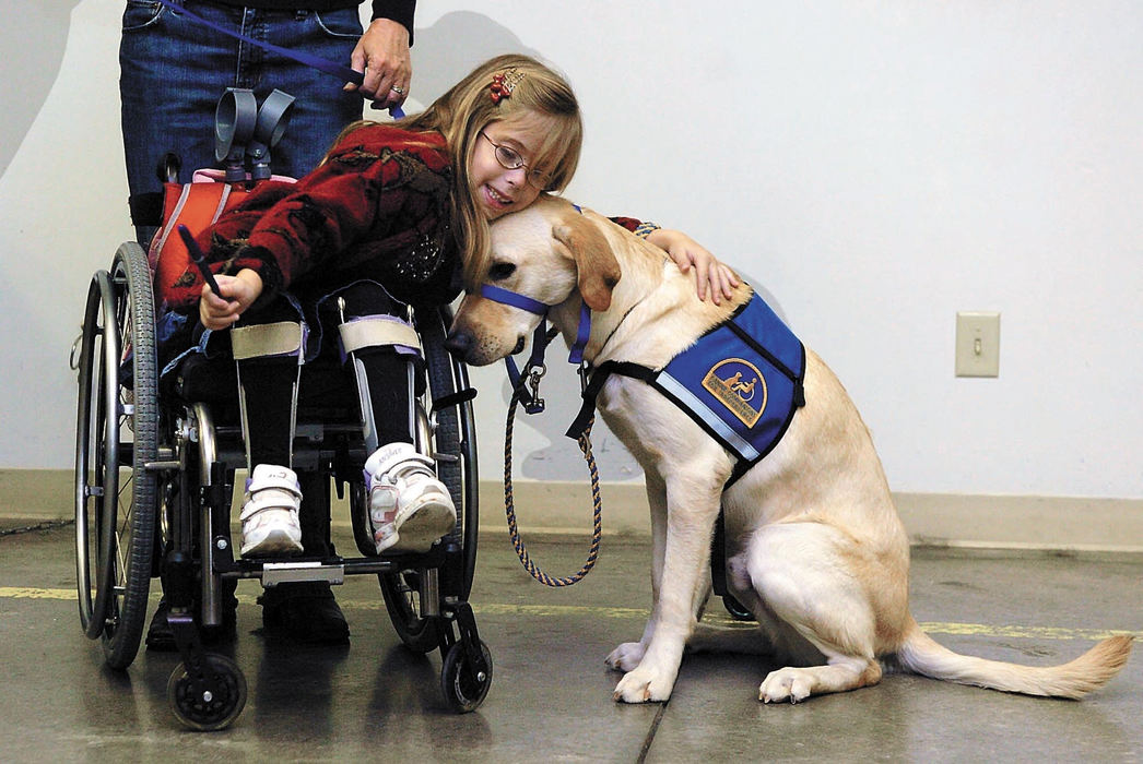 Award of Excellence, Assigned Feature - Jeffry Konczal / Suburban News PublicationsLeah Schulze, 7, of Westerville hugs Kwincy, a 19-month-old yellow lab,  Nov. 9 while at a training session at the Delaware Canine Companions for Independence office. Leah and her mother, Laurie, will take home the assistance dog after an 18-month application and interviewing process.