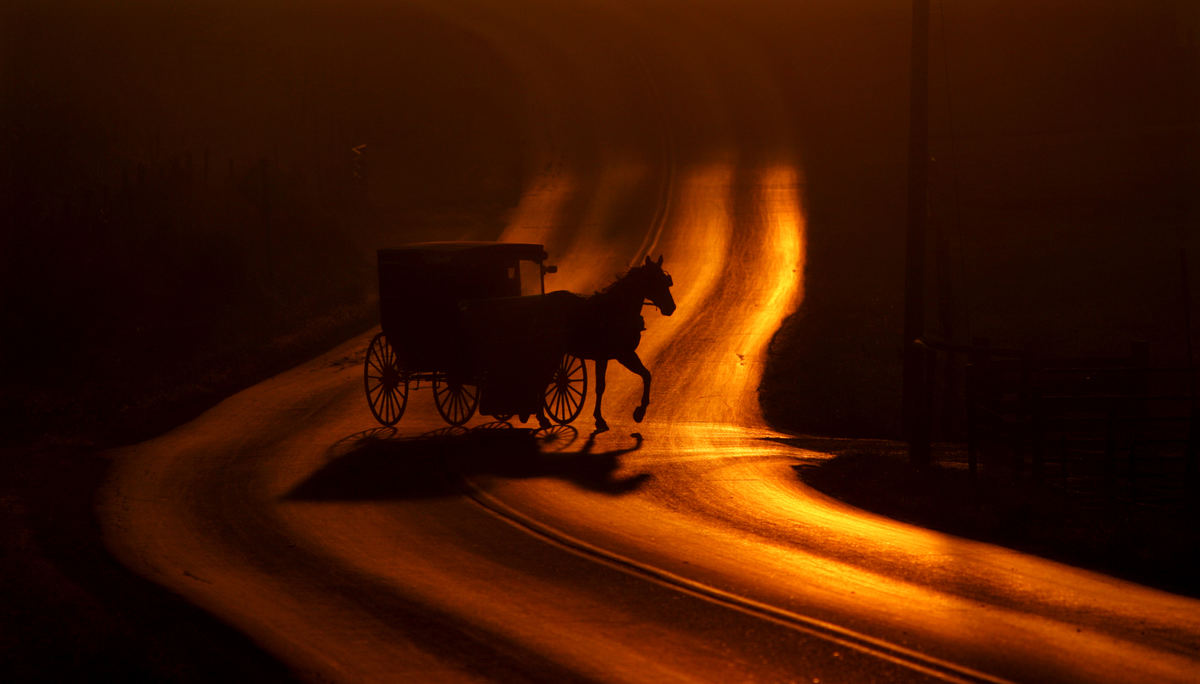 First Place, Pictorial - Ken Love / Akron Beacon JournalAs the sun rises and reflects off the dew covered road an Amish buggy turns onto a side street in Holmes County. 