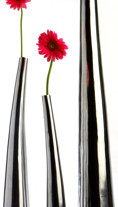 Award of Excellence, Product Illustration - Chris Stephens / The Plain DealerPewter floor vases from Z Gallerie hold single gerbera daisies.