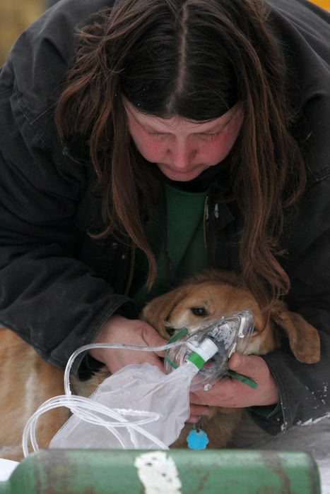 Award of Excellence, Photographer of the Year - Ken Love / Akron Beacon JournalDaisy Shoff gives her dog Dutchess oxygen after it was rescued from her home from Akron firefighters. Several other dogs and the family's pet bird perished in the fire despite numerous efforts by the Akron firefighters.
