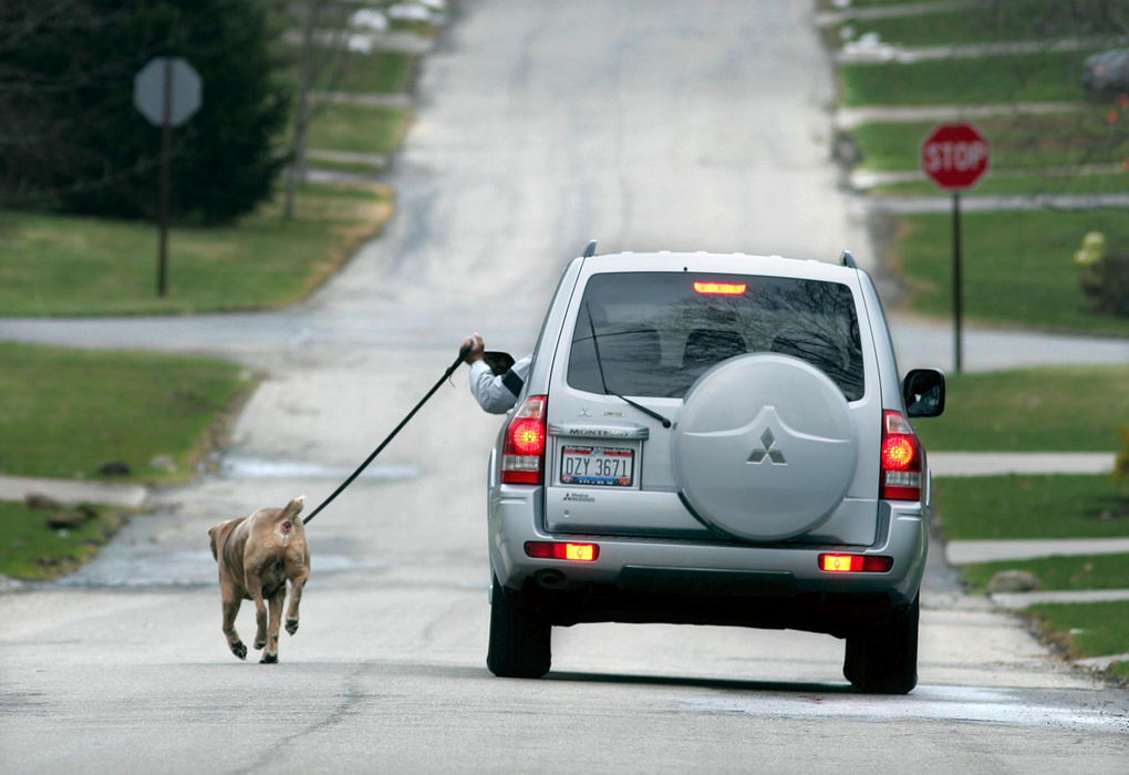 Award of Excellence, Photographer of the Year - Phil Masturzo / Akron Beacon JournalLevester Johnson takes his dog Armani out for a morning jog along Gaynard Road in West Akron on Monday March 26, 2007.  "I was lazy this morning," said Johnson. I'm on the way to the gym myself. I wanted to make sure he got in a workout before I left."   