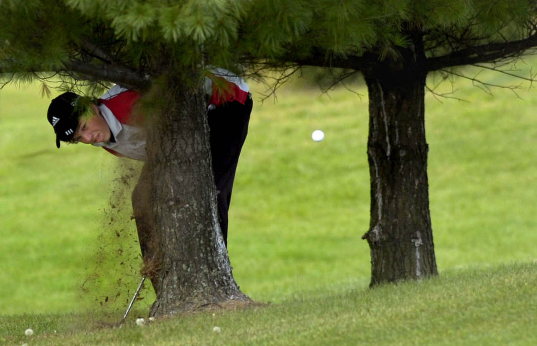 Award of Excellence, Sports Action - Marshall Gorby / Springfield News-SunTecumseh's Luke Hohl chips onto the green from behind a tree during the Central Buckeye Conference Championship golf tournament at Liberty Hills Golf Course in Bellefontaine.
