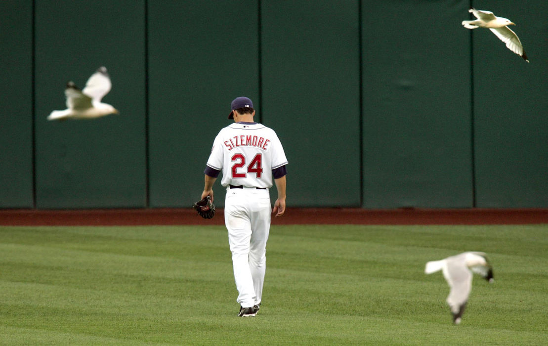 Third Place, Sports Picture Story - Chuck Crow / The Plain DealerFirst bugs, now birds as Cleveland Indians Grady Sizemore heads back out to center field after a huge flock of seagulls invaded a game. The season ended on a sour note losing to the Red Sox but the wild and wacky events will not let the baseball forget the 2007 baseball season. 