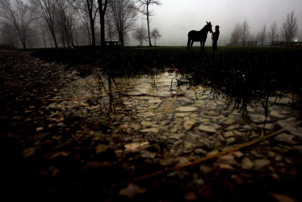 First Place, Photographer of the Year - Lisa DeJong / The Plain Dealer "I have been born with a wonderful gift of not just talking to my animals, but hearing what they say back,"  says animal communicator Doris Straka, 62. It was a turtle that Straka first heard when she was two years old.  She has used her gift for years now working as a liaison between veterinarians and the farm animals at the Lake Metroparks Farmpark, helping the doctors gain more understanding of an animal's plight. 