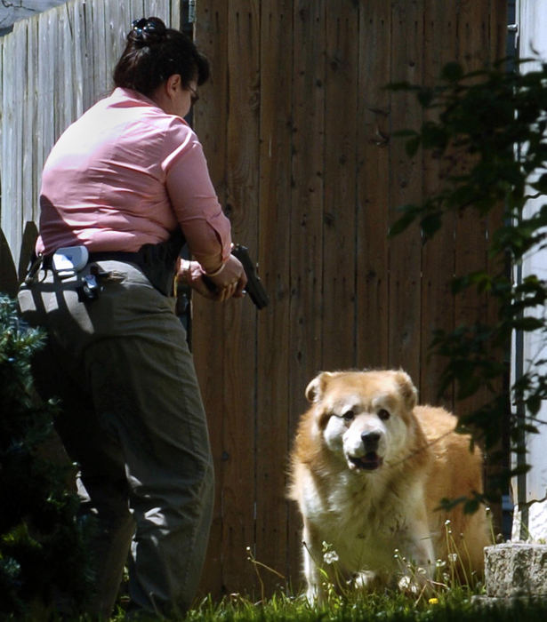 First Place, Spot News under 100,000 - Marshall Gorby / Springfield News-SunKathryn Hart, a detective for the Springfield Police Division, points a gun at a dog that attacked a 3-year-old boy on Kenton Street in Springfield, May 12, 2008. The boy was transported to the hospital. 