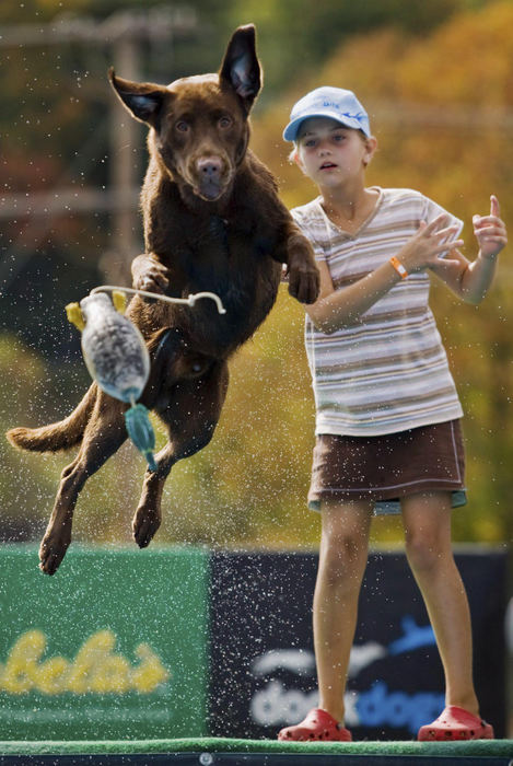 First Place, Student Photographer of the Year - Diego James Robles / Ohio UniversityAbbey Bacon throws a decoy duck into the "Dock Dogs" pool, while her chocolate Labrador, Zeus, jumps in after it, on September 27, 2008, in Nelsonville. Held at the Hocking College campus, Dock Dogs was one of many events in the Rocky Great Outdoor Adventure festival.