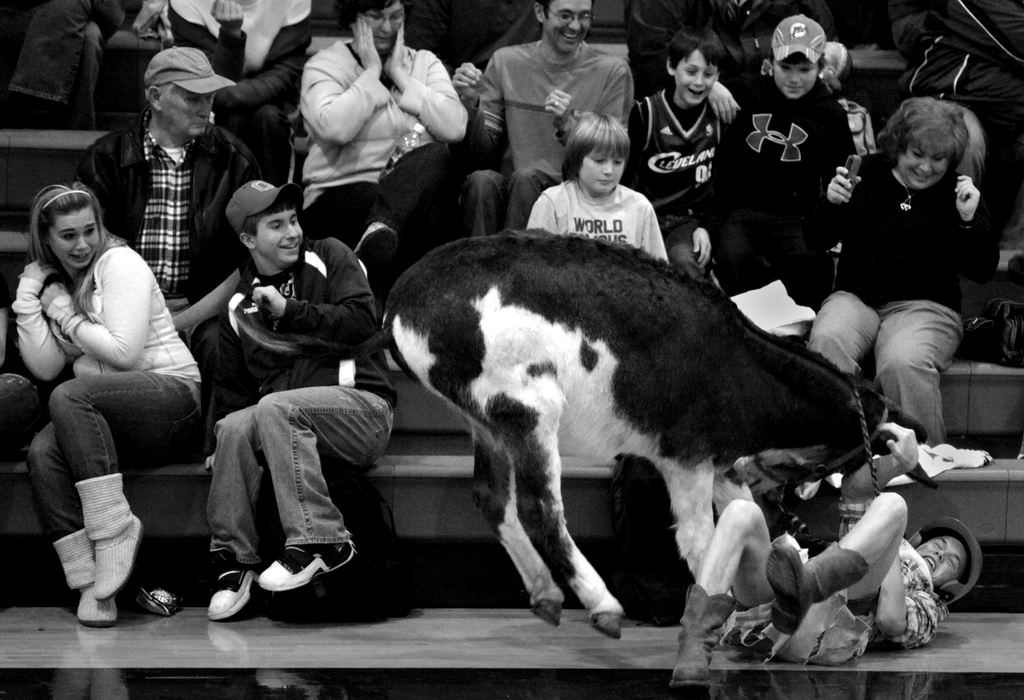 Award of Excellence, Photographer of the Year Large Market - Michael E. Keating / Cincinnati EnquirerFans in the stands react as Bobby Jones is tossed from the back of a donkey during a fundraising donkey basketball game. 
