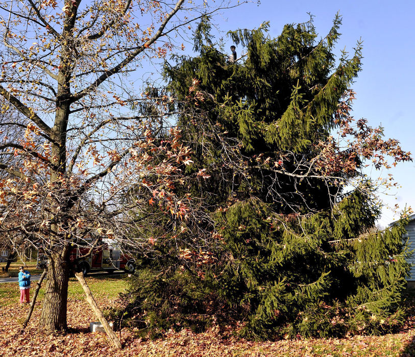 Second Place, Photographer of the Year Small Market - Marshall Gorby / Springfield News-SunEnon and Bethel Township firefighters are called to a house at 386 Lammes Lane Nov. 7, 2009 for a unique rescue after Danny Richardson, 6, found himself stuck in the top of a 30-foot pine tree in his grandmother's front yard. Despite being a little shaken-up, Richardson was rescued safely by firefighters in an aerial truck and returned to his father's arms. 