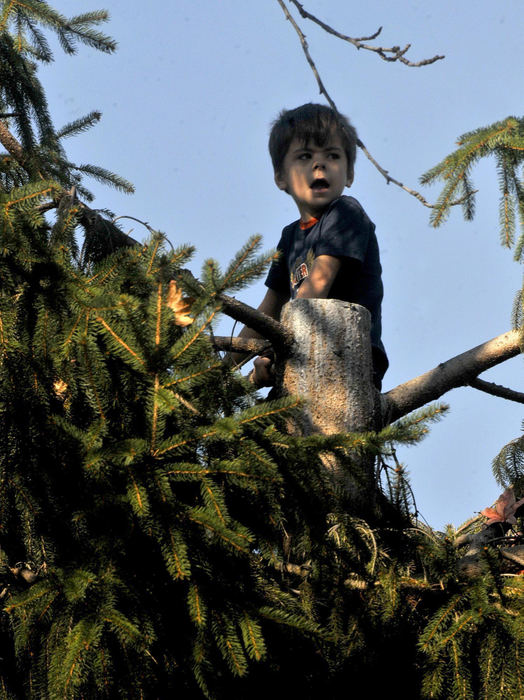 Second Place, Photographer of the Year Small Market - Marshall Gorby / Springfield News-Sun