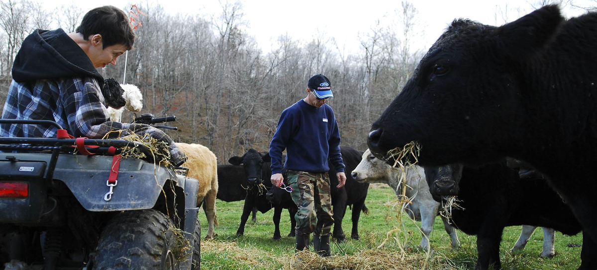 Third Place, Photographer of the Year Small Market - Tessa Bargainnier / Kent State UniversityJen helps feed the cows from the back of the four-wheeler she and Tom ride to complete the daily farm chores. 