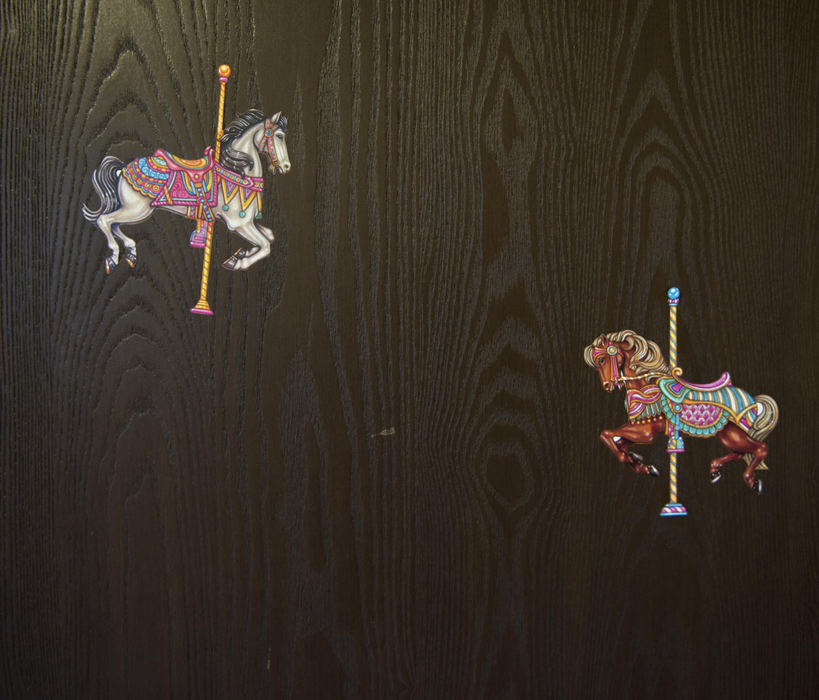First place, Feature Picture Story - Abigail S. Fisher / Ohio UniversityBright carousel horses decorate the closet door of Kayleigh and Mattie’s bedroom. The girls share a small twin-sized mattress every night.