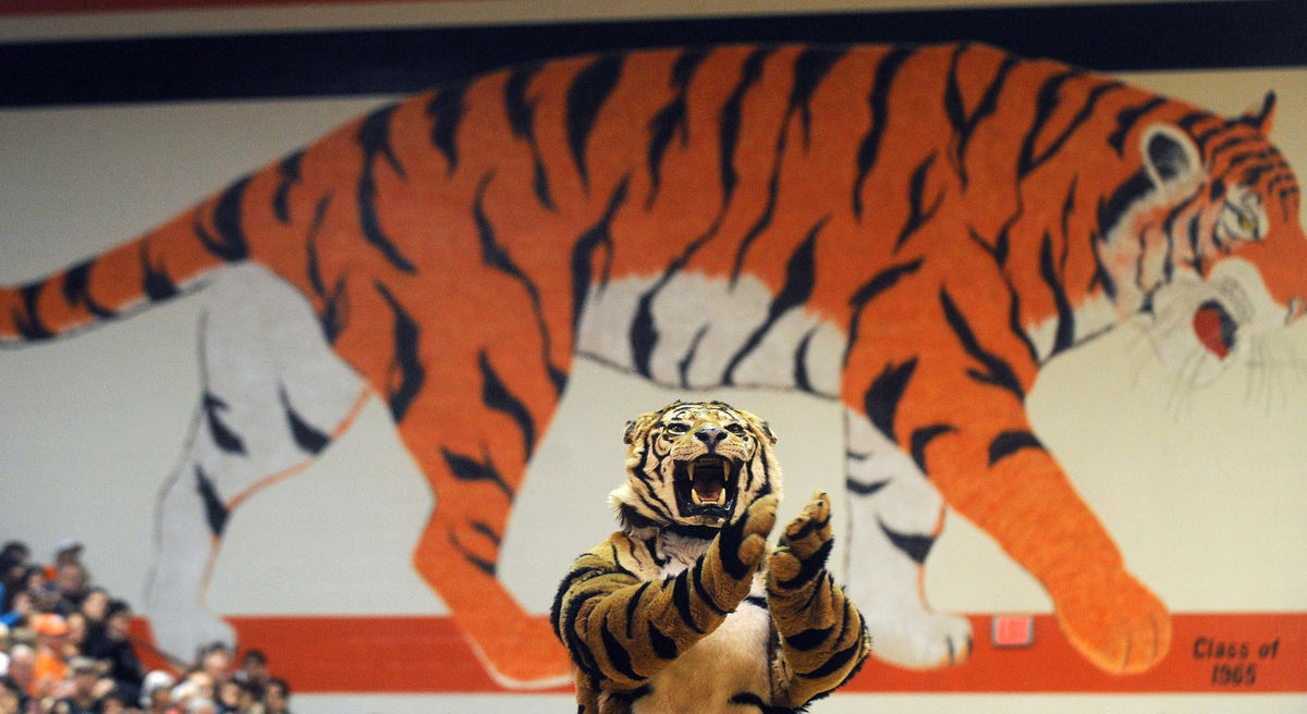First place, James R. Gordon Ohio Understanding Award - Gary Harwood / Kent State UniversityThe mascot, in front of the tiger mural in the Massillon Washington High School gymnasium, fires up the students gathered for a pep rally during McKinley week.