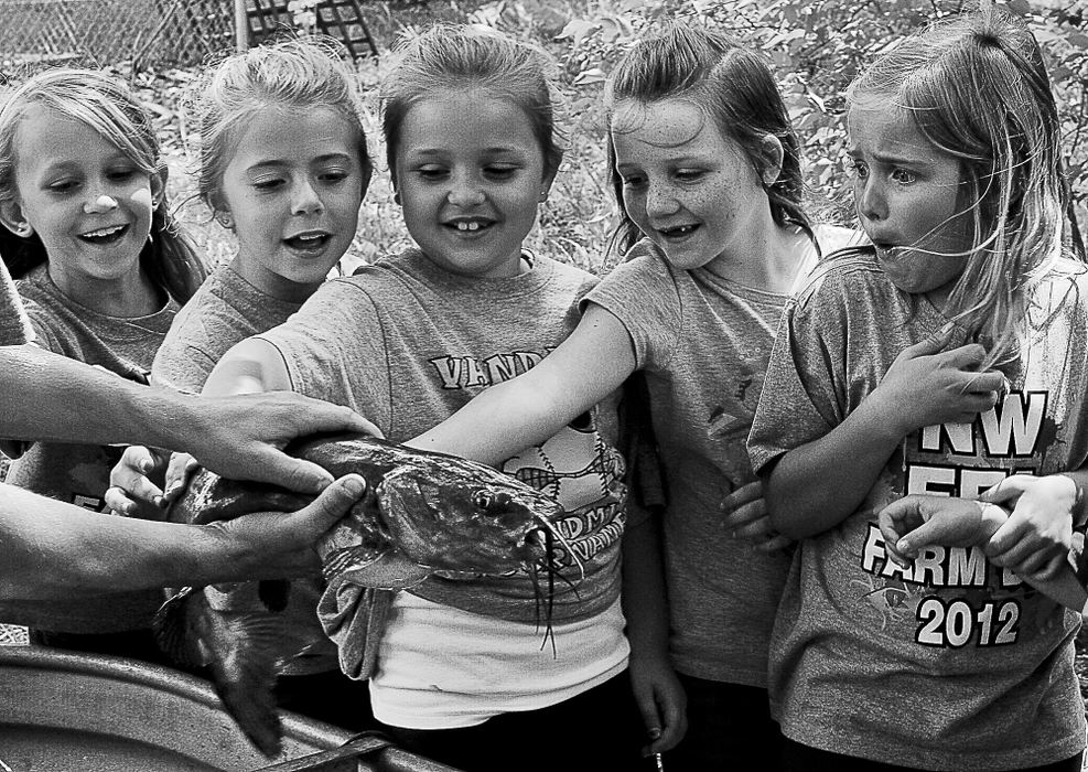 First place, Photographer of the Year - Small Market - Bill Lackey / Springfield News-SunNorthwestern Elementary students react as they get to touch a catfish as Northwestern High School student, Chance Wyant, pulls it out of a tank during the Northwestern FFA Farm Day. FFA members brought their tractors and farm animals to school Wednesday so the elementary students could experience them up close.