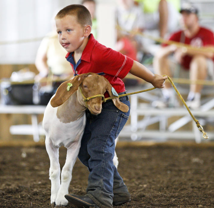 Second place, Photographer of the Year - Small Market - Barbara J. Perenic / Springfield News-SunLevi Hollingsworth, 4, hangs on to a feisty goat while competing solo in pee wee goat showmanship.