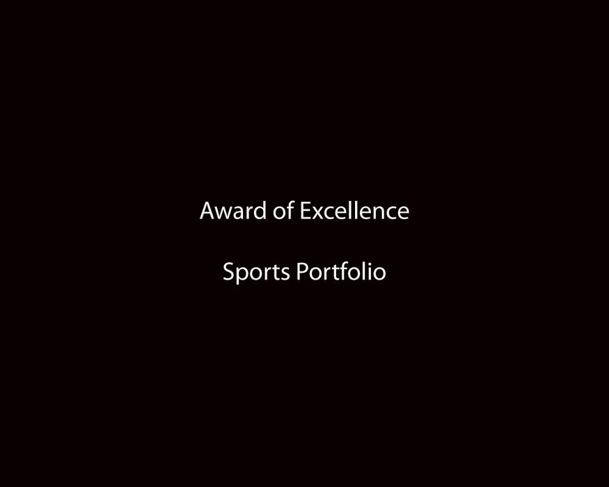 Award of Excellence, Sports Portfolio - Barbara J. Perenic / Springfield News-Sun