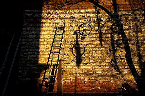 Award of Excellence, Student Photographer of the Year - Meg Vogel / Ohio UniversityOld Bikes hang from a tree outside an antique store in Marietta, Ohio.