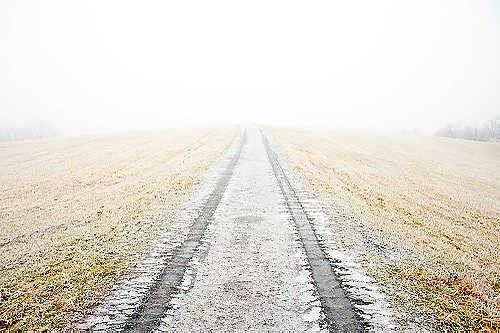 Award of Excellence, Student Photographer of the Year - Meg Vogel / Ohio UniversityTire tracks follow a path that is covered by dense early morning fog in Athens, Ohio. 