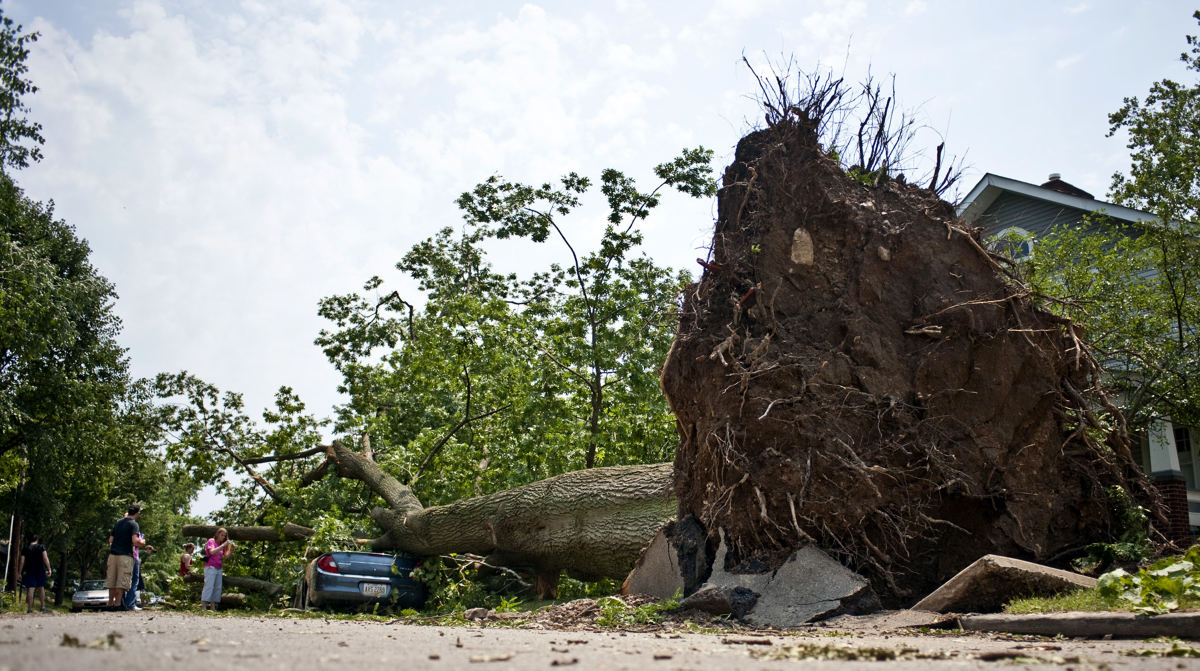 Second place, Team Picture Story - Abigail S. Fisher / The Columbus DispatchA massive oak tree on Weber Road in Columbus fell uprooting a sidewalk and crushing at least two cars during Friday evening's thunderstorms. AEP Ohio reported as many as 300,000 central Ohioans were without power.