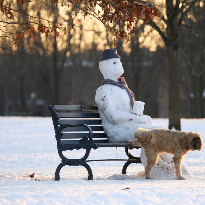 Award of Excellence, Feature - Eric Albrecht / The Columbus DispatchA dog takes advantage of the frozen leg of snowman to relive himself at a park.