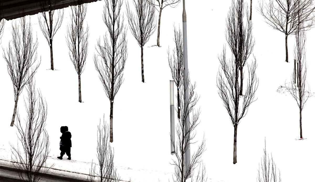 Second Place, Photographer of the Year - Large Market - Lisa DeJong / The Plain DealerA woman makes her way across the stark palette of trees and snow in front of the Cleveland Clinic on a blustery winter Tuesday.  A winter storm brought in single digit temperatures, leaving Cleveland's temperature hovering around 9 degrees this afternoon. Winds are currently at 22 mph with gusts up to 28 mph, according to the national weather service. 
